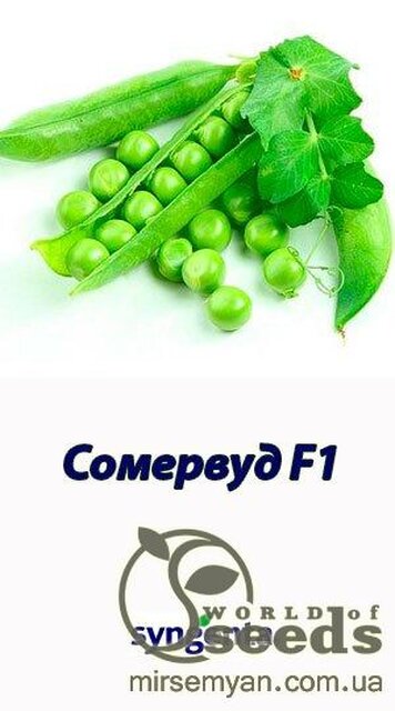 Горох овочевий Сомервуд 100000 н. , Syngenta Горох овочевий Сомервуд 100000 н. , Syngenta