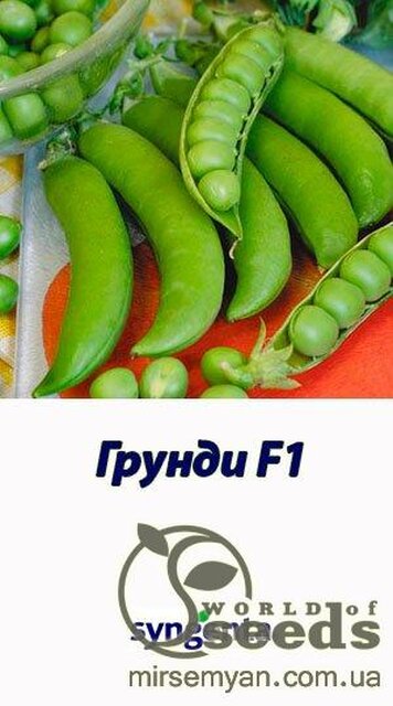 Горох овочевий Грунді (Грунді)100 000 н. , Syngenta Горох овочевий Грунді (Грунді)100 000 н. , Syngenta
