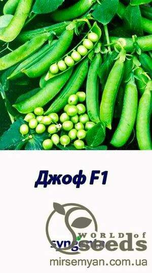 Горох овочевий "Джоф" 100 000 із Syngenta
