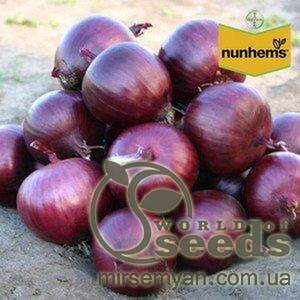 Цибуля "Каунтач" F1 100 000 с. Нунемс (Nunhems)