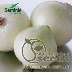 Цибуля "Сьєра Бланка" F1 250 000 с. Семініс, (Seminis) Цибуля "Сьєра Бланка" F1 250 000 с. Семініс, (Seminis)