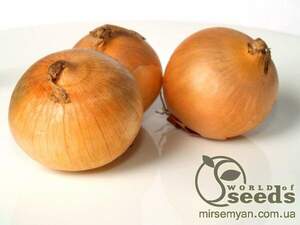 Цибуля "Маркет" F1 250 000 с. Семініс, (Seminis)