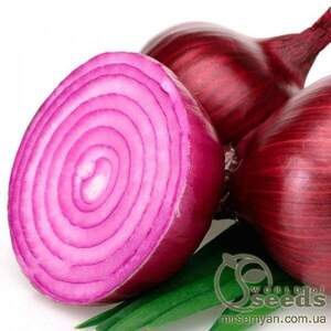 Цибуля "СВ 4593 F1 (SV 4593 F1)" F1 250000 с. Семініс, (Seminis)