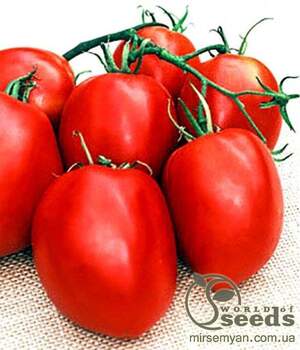 Томат «Які» F1 1000 насінин, Семініс, (Seminis) Томат «Які» F1 1000 насінин, Семініс, (Seminis)