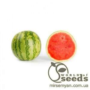 Кавун середньоранній Кавун середньоранній