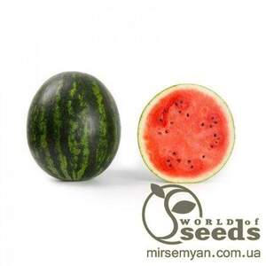 Кавун ранній "Керрол" F1 1000 с. Рік Цваан, (Rijk Zwaan)