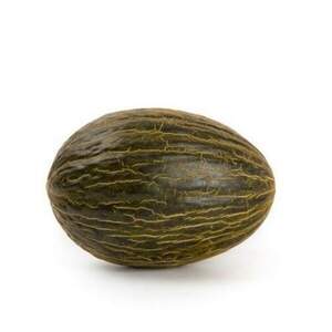 Диня ранньостигла Диня ранньостигла