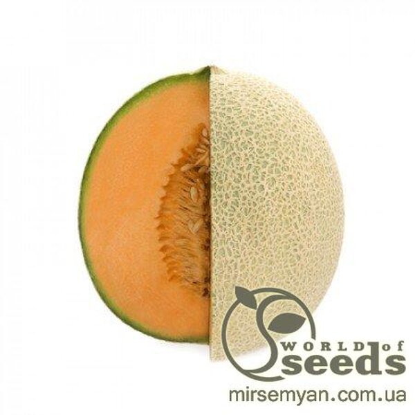 Диня середньо-пізня "Карібіан Голд" F1 1000 c. Рік Цван, (Rijk Zwaan) Диня середньо-пізня "Карібіан Голд" F1 1000 c. Рік Цван, (Rijk Zwaan)