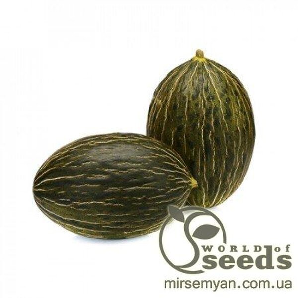 Диня середньо-пізня "Рікура" F1 1000 c. Рік Цван, (Rijk Zwaan) Диня середньо-пізня "Рікура" F1 1000 c. Рік Цван, (Rijk Zwaan)