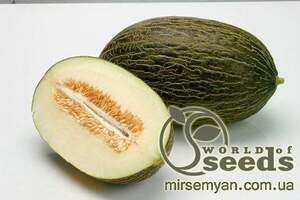Диня середньо-пізня "Рейміл" 1000 с. Рік Цван, (Rijk Zwaan)