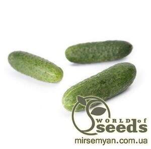 Огірок "Кібрія" F1 1000 с. Рік Цваан, (Rijk Zwaan)