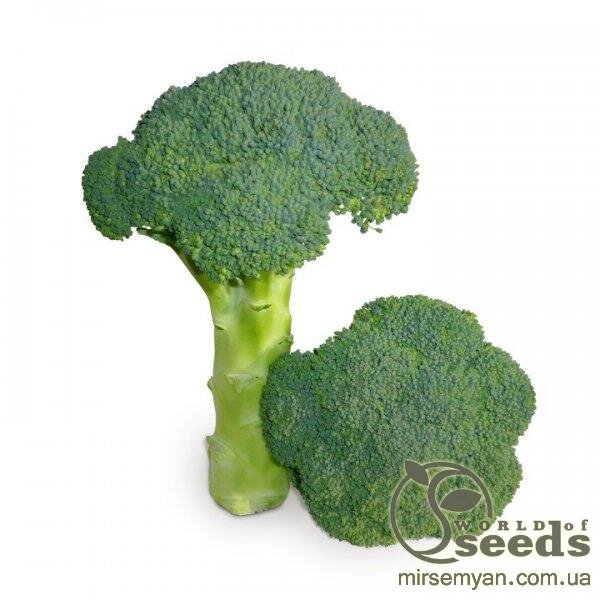 Капуста Брокколі Капуста Брокколі