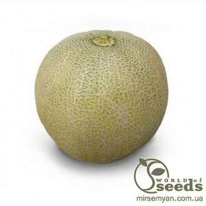 Диня "KS 55" F1, 1000 семена Кітано, (KITANO Seeds)