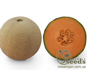 Диня "KS 7049" F1, 1000 семена Кітано, (KITANO Seeds)