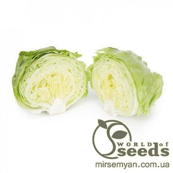 Салат  Салат