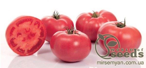 Томат ТОМ 02044 F1 1000 нас. Sakata Томат ТОМ 02044 F1 1000 нас. Sakata