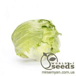 Салат "Ясперінас" 1000 с. Рік Цваан, (Rijk Zwaan)