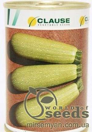 Кабачок "Асма" F1, 2500 насінин, Clause Кабачок "Асма" F1, 2500 насінин, Clause