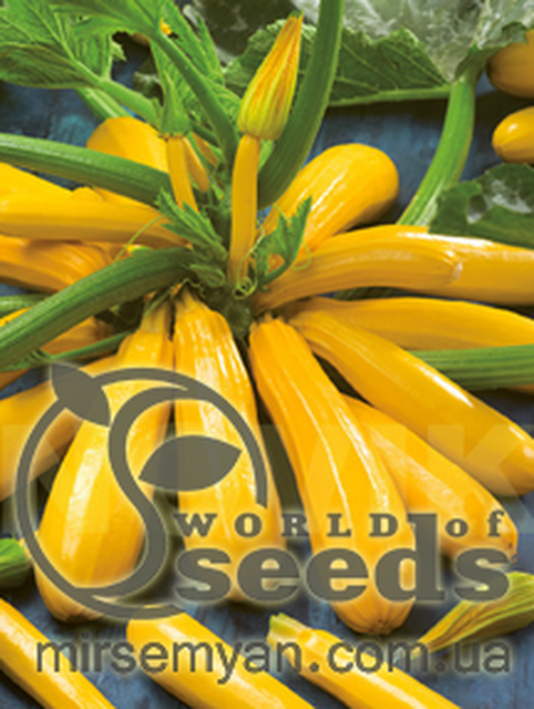 Кабачок Кабачок