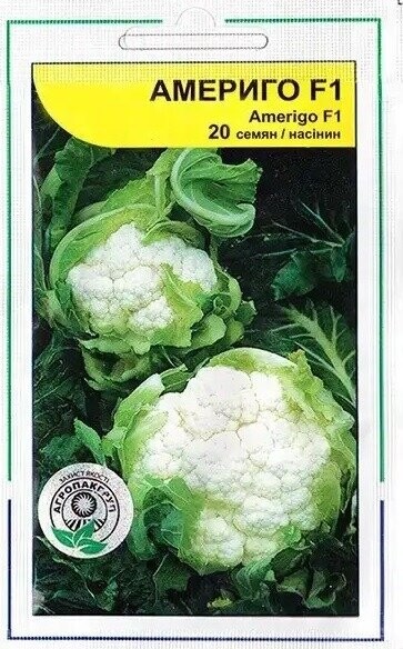 Капуста цвітна «Амеріго» F1 2 0 насінин, А (Syngenta) Капуста цвітна «Амеріго» F1 2 0 насінин, А (Syngenta)