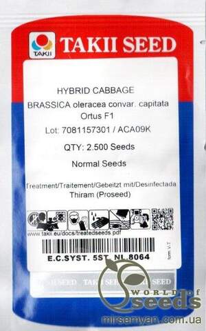 Капуста "Ортус" F1 2500 с, Takii Seeds