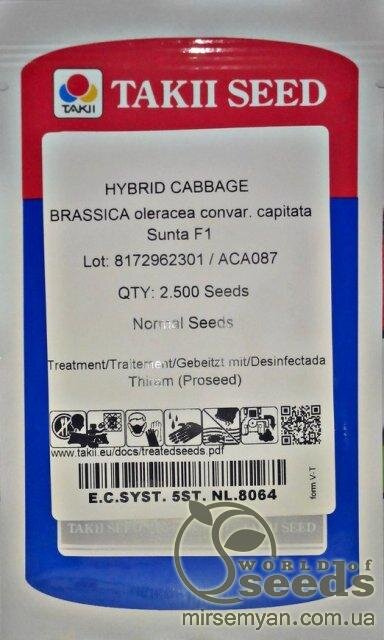 Капуста Капуста