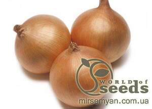 Насіння цибулі "Рекс" F1 250 000 сем., Takii Seeds