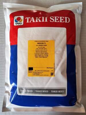 Насіння цибулі "Медуза" F1 250 000 сем., Takii Seeds