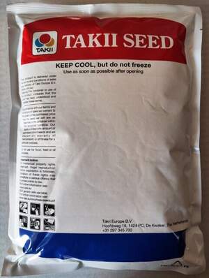 Насіння цибулі "Медуза" F1 250 000 сем., Takii Seeds