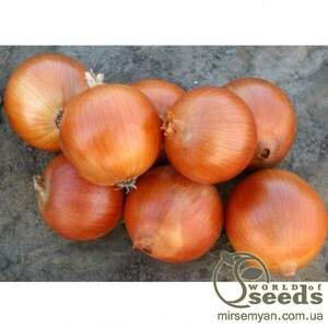 Насіння цибулі "Вуельта" F1 250 000 сем., Takii Seeds
