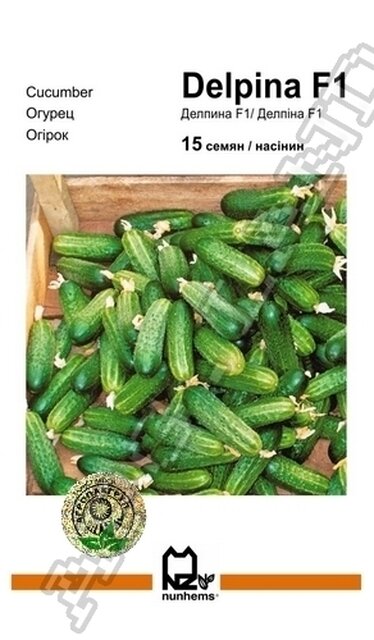 Огірок Делпіна F1 - 15 насінин А (Nunhems) Огірок Делпіна F1 - 15 насінин А (Nunhems)