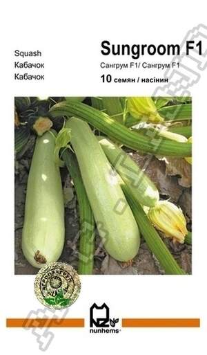 Кабачок Сангрум F1 - 10 насінин А (Nunhems)