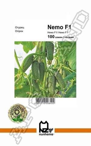 Огірок Немо F1 - 100 насінин А (Nunhems)