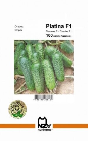 Огірок Платина F1 - 100 насінин А (Nunhems) Огірок Платина F1 - 100 насінин А (Nunhems)