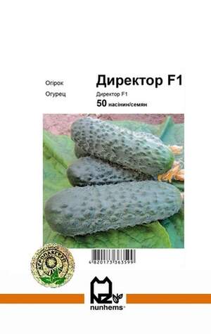 Огірок Директор F1 - 50 насінин А (Nunhems) Огірок Директор F1 - 50 насінин А (Nunhems)