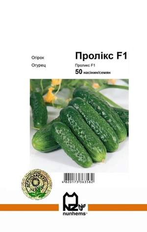 Огірок Пролікс F1 - 50 насінин А (Nunhems) Огірок Пролікс F1 - 50 насінин А (Nunhems)