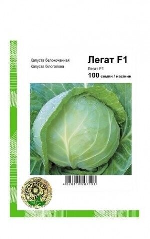 Капуста білокачанна Легат F1 - 100 насінин А (Clause Tezier) Капуста білокачанна Легат F1 - 100 насінин А (Clause Tezier)
