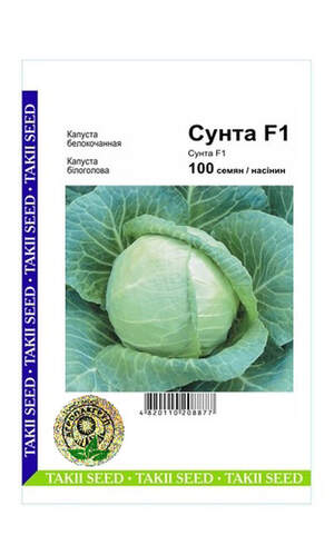 Капуста білокачанна Сунта F1 - 100 насінин А (Takii) Капуста білокачанна Сунта F1 - 100 насінин А (Takii)