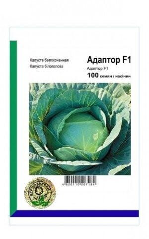 Капуста білокачанна Адаптор F1 - 100 насінин А (Syngenta)