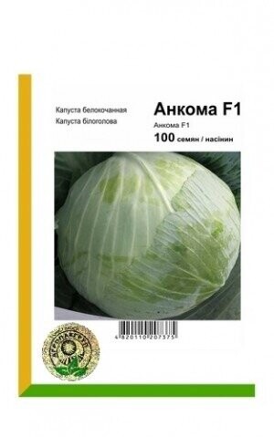 Капуста білокачанна Анкома F1 - 100 насінин А (Rijk Zwaan)