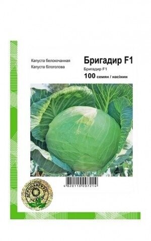 Капуста білокачанна Бригадир F1 - 100 насінин А (Clause Tezier)