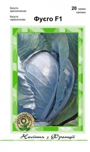 Капуста червонокачанна Фуєго F1 - 20 насінин А (Clause Tezier)