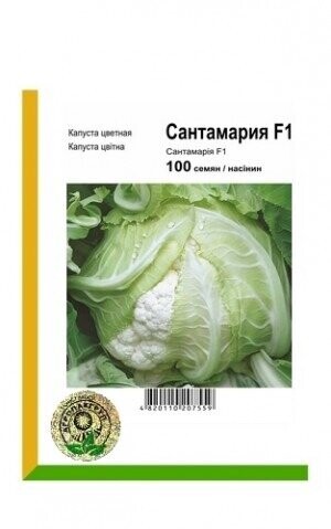 Капуста цвітна Сантамарія F1 - 100 насінин А (Rijk Zwaan)