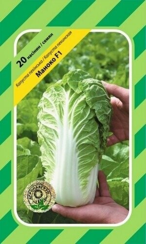 Капуста пекінська Маноко F1 - 20 насінин А (Bejo Zaden) Капуста пекінська Маноко F1 - 20 насінин А (Bejo Zaden)