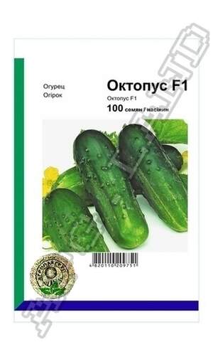 Огірок Октопус F1 - 100 насінин А (Syngenta)