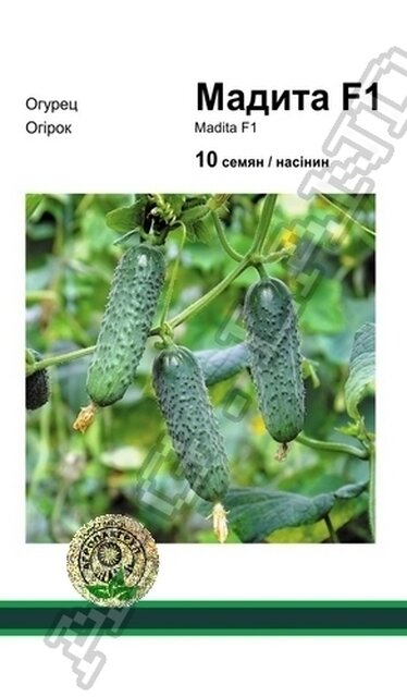 Огірок Мадіта F1 - 10 насінин А (Seminis) Огірок Мадіта F1 - 10 насінин А (Seminis)