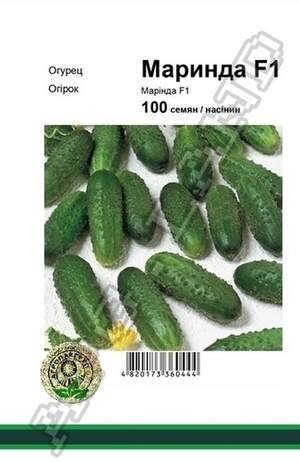 Огірок Маринда F1 - 100 насінин А (Seminis) Огірок Маринда F1 - 100 насінин А (Seminis)