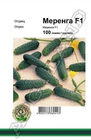 Огірок Меренга F1 - 100 насінин А (Seminis) Огірок Меренга F1 - 100 насінин А (Seminis)