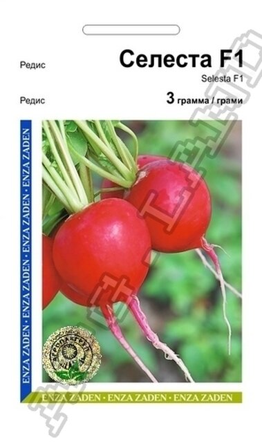 Редис Селеста F1 - 3 грами А (Enza Zaden) Редис Селеста F1 - 3 грами А (Enza Zaden)