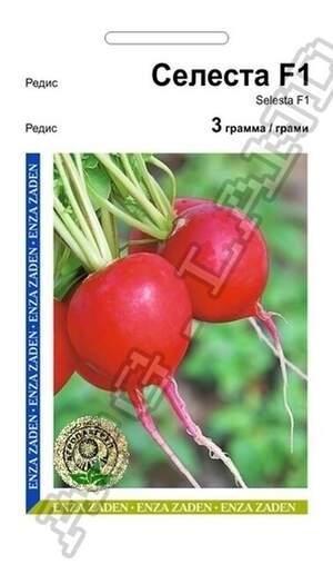 Редис Селеста F1 - 3 грами А (Enza Zaden) Редис Селеста F1 - 3 грами А (Enza Zaden)